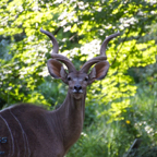 20120803_175000_00527.jpg