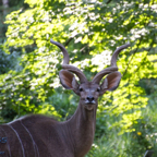 20120803_175005_00529.jpg