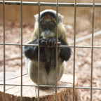 20120803_175346_00534.jpg