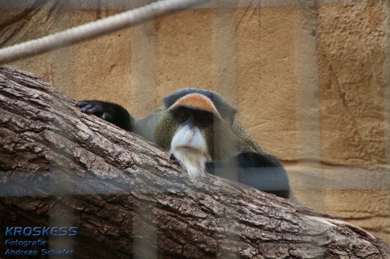 20120803_175406_00536.jpg