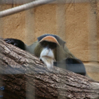 20120803_175406_00536.jpg