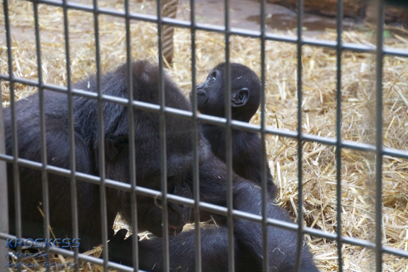 20120803_175528_00540.jpg