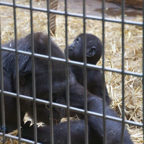 20120803_175528_00540.jpg