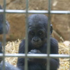 20120803_175706_00544.jpg