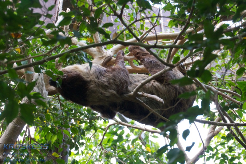 20120803_175822_00546.jpg