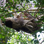 20120803_175822_00546.jpg