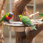 20120803_175940_00548.jpg