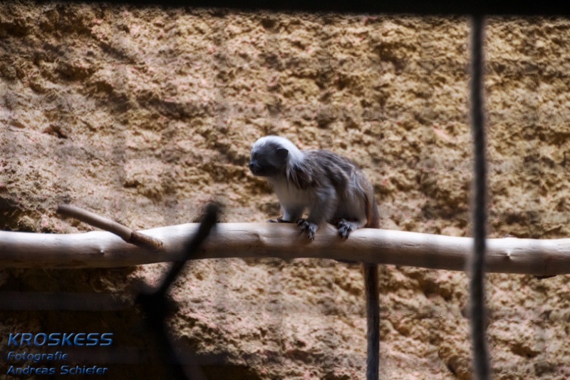20120803_180421_00557.jpg