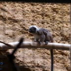 20120803_180421_00557.jpg