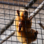 20120803_180727_00567.jpg