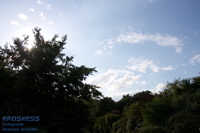 20120803_181907_00580.jpg