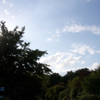 20120803_181907_00580.jpg