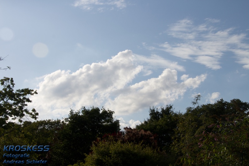 20120803_181926_00581.jpg