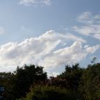 20120803_181926_00581.jpg