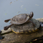 20120803_182222_00586.jpg