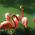 20120803_182825_00594.jpg