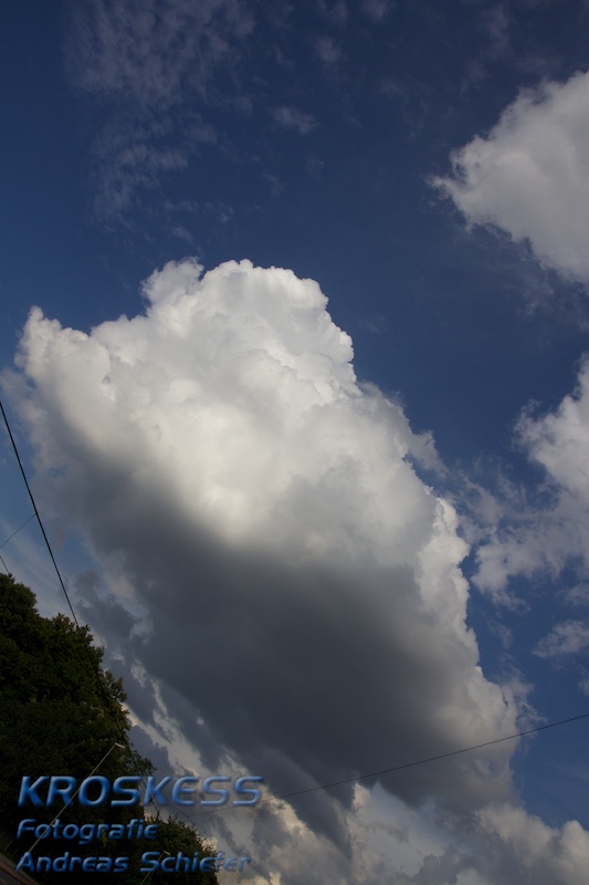 20120803_184031_00603.jpg