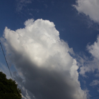 20120803_184031_00603.jpg