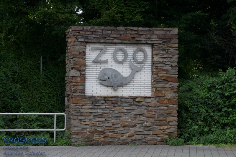 20120803_184140_00604.jpg