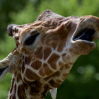 20150506_115231_38716.jpg