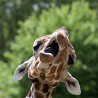 20150506_115235_38720.jpg