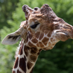 20150506_115237_38722.jpg