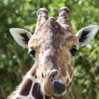 20150506_115305_38726.jpg