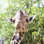 20150506_115308_38731.jpg