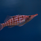 20150506_123823_38972.jpg