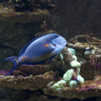 20150506_131707_39240.jpg