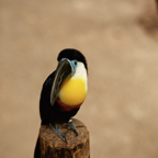 20150506_132618_39312.jpg