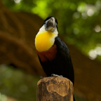 20150506_133131_39348.jpg