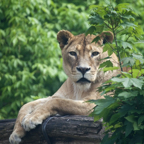 20150506_140235_39474.jpg