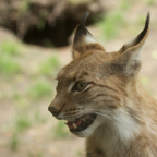20150506_140726_39521.jpg