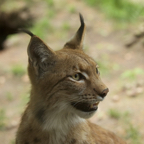 20150506_140732_39523.jpg