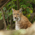 20150506_141523_39557_DxO.jpg