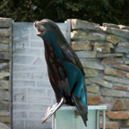 20150506_150319_39638.jpg