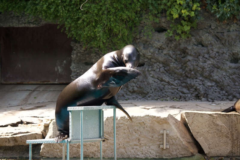 20150506_150456_39644.jpg