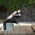 20150506_150456_39644.jpg