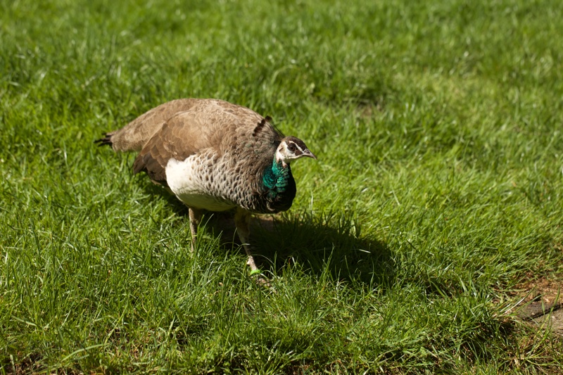 20150506_153915_39728.jpg