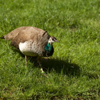 20150506_153915_39728.jpg