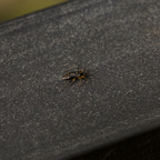 20150506_154148_39746.jpg