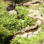 20150506_155138_39781.jpg