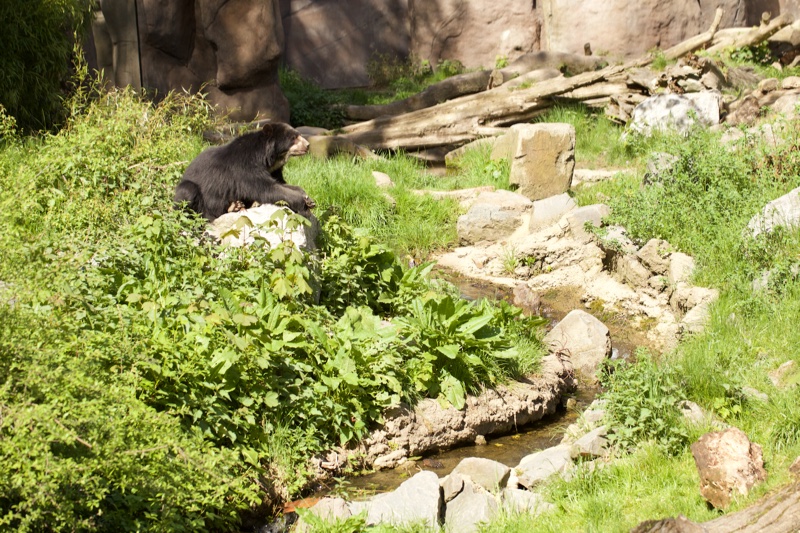 20150506_155157_39784.jpg
