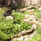 20150506_155157_39784.jpg