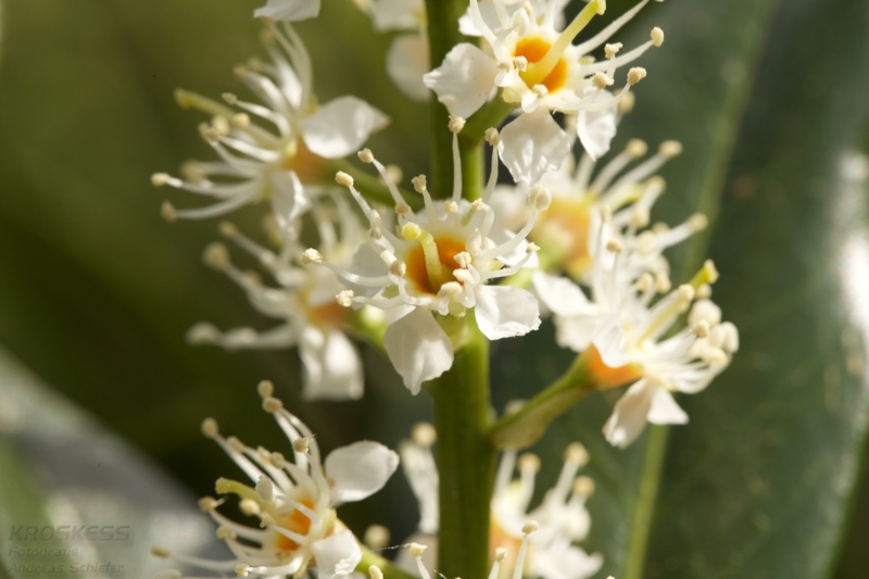 20150506_155702_39790.jpg