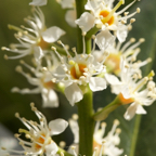20150506_155702_39790.jpg