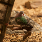 20150506_161535_39844.jpg