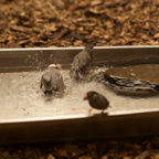 20150506_161848_39860.jpg