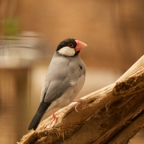 20150506_162234_39894.jpg